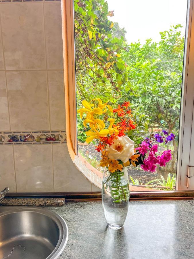 Canarian Cottage With Terrace Surrounded By Garden - Alisios لا أوروتافا المظهر الخارجي الصورة