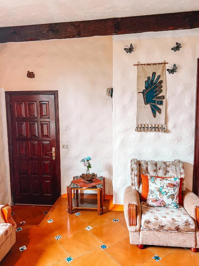 Canarian Cottage With Terrace Surrounded By Garden - Alisios لا أوروتافا المظهر الخارجي الصورة