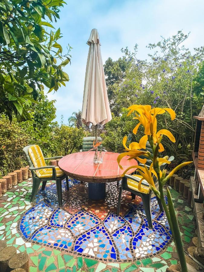 Canarian Cottage With Terrace Surrounded By Garden - Alisios لا أوروتافا المظهر الخارجي الصورة