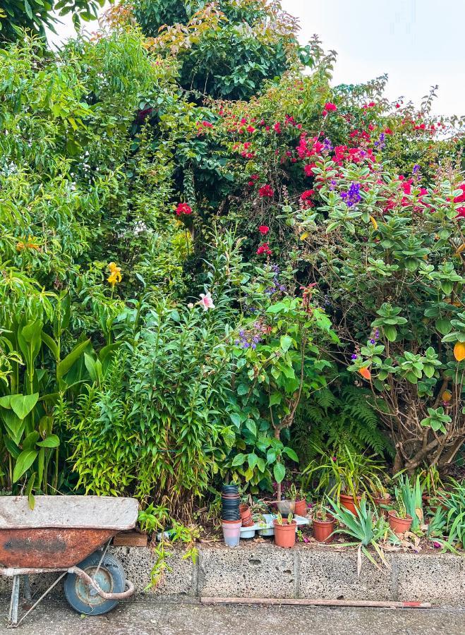 Canarian Cottage With Terrace Surrounded By Garden - Alisios لا أوروتافا المظهر الخارجي الصورة