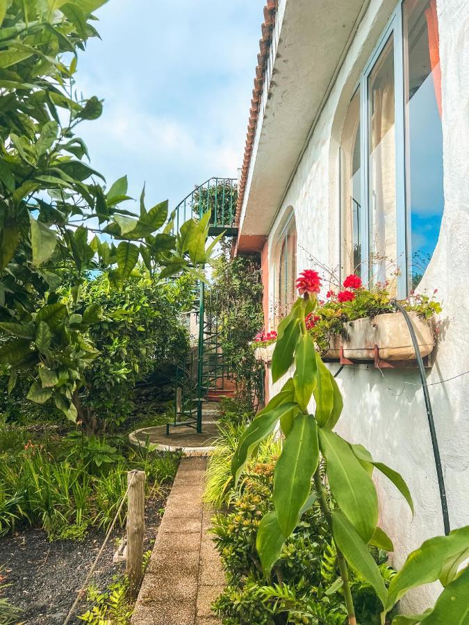 Canarian Cottage With Terrace Surrounded By Garden - Alisios لا أوروتافا المظهر الخارجي الصورة
