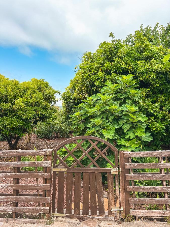 Canarian Cottage With Terrace Surrounded By Garden - Alisios لا أوروتافا المظهر الخارجي الصورة