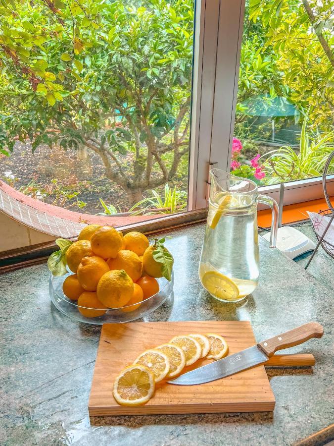 Canarian Cottage With Terrace Surrounded By Garden - Alisios لا أوروتافا المظهر الخارجي الصورة