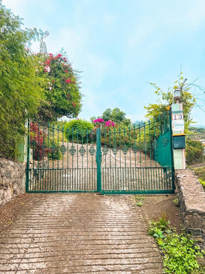 Canarian Cottage With Terrace Surrounded By Garden - Alisios لا أوروتافا المظهر الخارجي الصورة